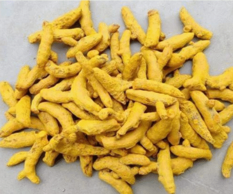 Turmeric Finger