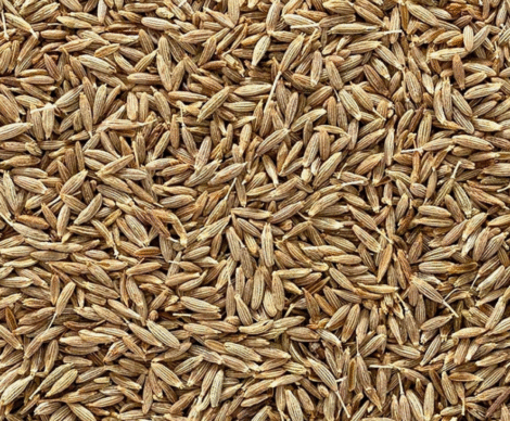 Cumin Seeds