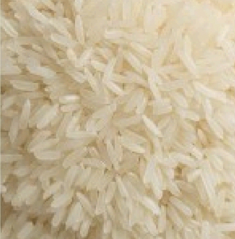 Rice - Vietnam